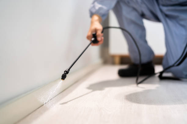 Licensed Pest Control service in Ridgefield Park, NJ - Show Me Pest Control