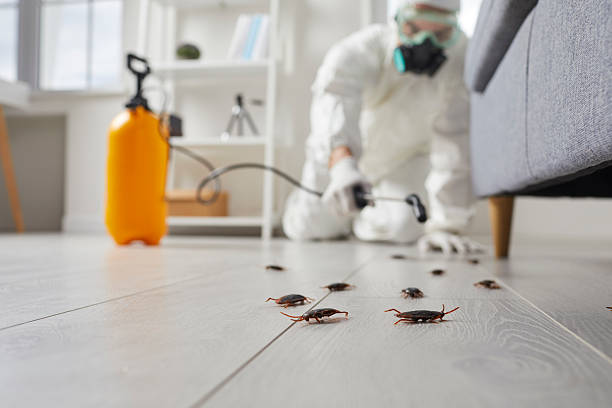 Post-Treatment Bed Bug Interceptor Monitoring in Ridgefield Park