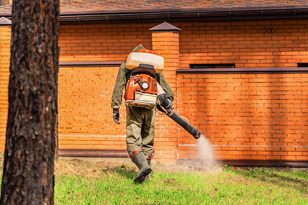Bed Bug Clearance Verification and Documentation in Ridgefield Park